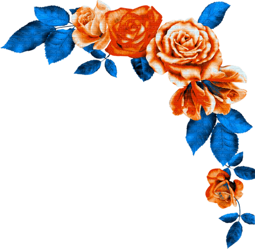 Roses.Orange.Blue - zdarma png
