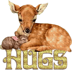 HUGS - Безплатен анимиран GIF