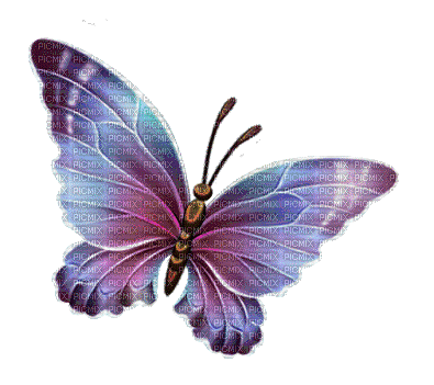 Vlinder - 無料のアニメーション GIF