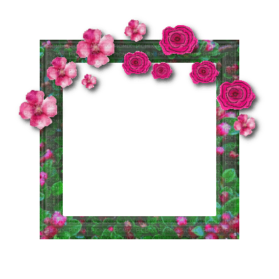 Small Green Frame - png gratuito