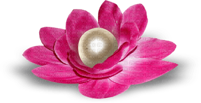 Kaz_Creations Pink Deco Flower Colours - gratis png