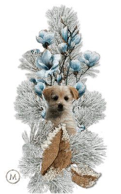 dog-flower-winter-minou52 - PNG gratuit