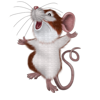 Kaz_Creations Rat-Mouse - kostenlos png