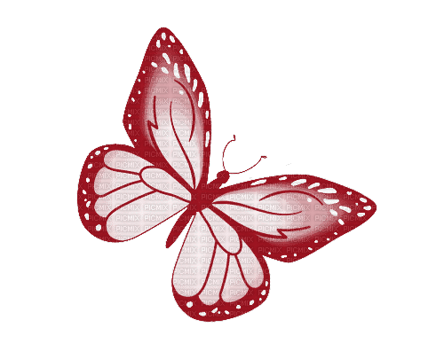 Mariposa - Free animated GIF