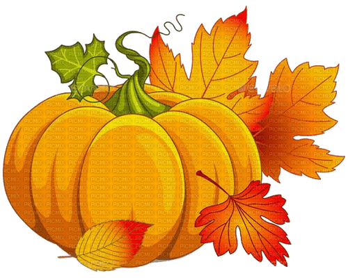 Herbst, Kürbis, Autumn - png ฟรี
