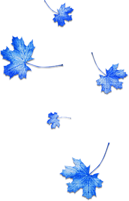 soave deco leaves autumn blue - zadarmo png