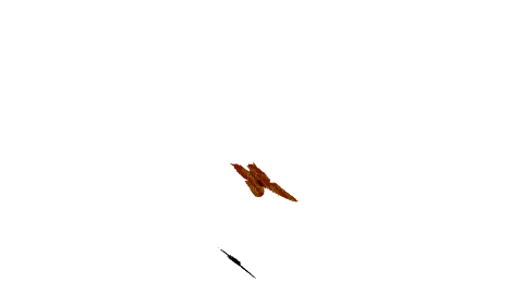MARIPOSA - Безплатен анимиран GIF