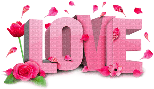 Love.Text.Tulip.Rose.Petals.Pink - ingyenes png