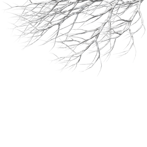 Winter Branch - ücretsiz png