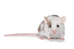 rato-l - Free PNG