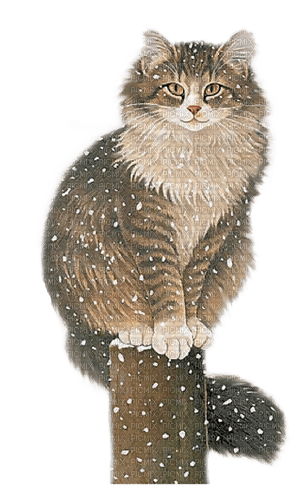 winter cat by nataliplus - png ฟรี
