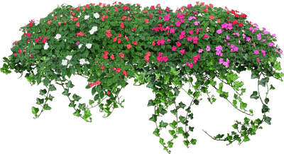 Kaz_Creations Garden Deco Flowers - Free PNG