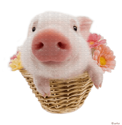 pig by nataliplus - ücretsiz png