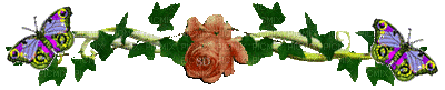роза,бабочки - GIF animado grátis