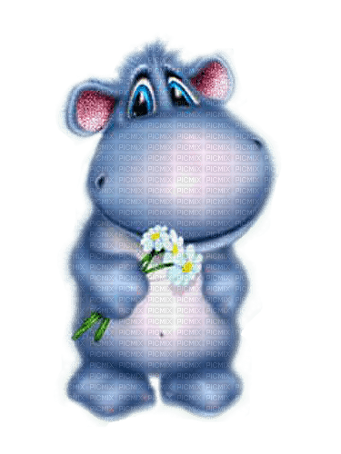 hippo by nataliplus - darmowe png