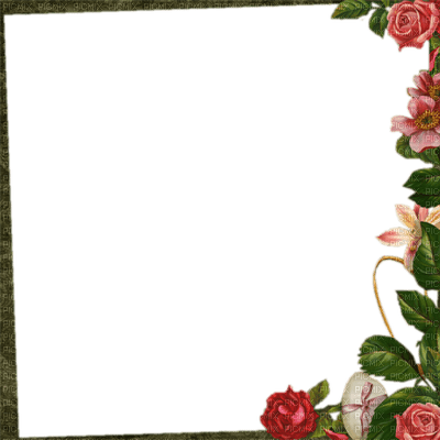 frame cadre flowers - zadarmo png