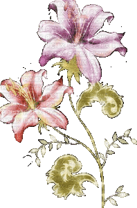 fleur violette.Cheyenne63 - Δωρεάν κινούμενο GIF