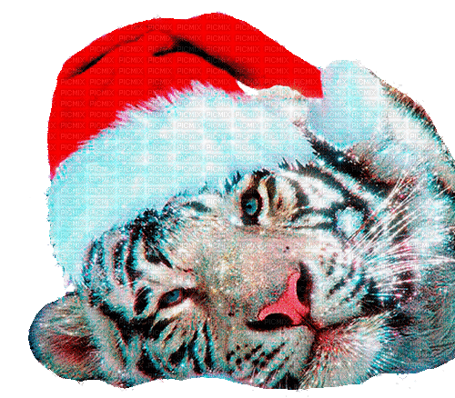 christmas  tiger  by nataliplus - Бесплатный анимированный гифка