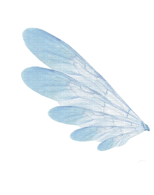 wings katrin - gratis png