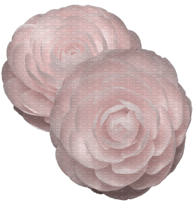 pink-flower - PNG gratuit