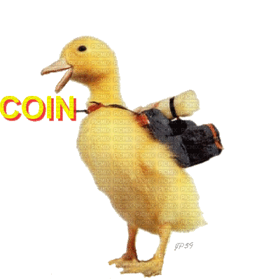 coin coin - Darmowy animowany GIF
