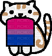 Bisexual cat - nemokama png