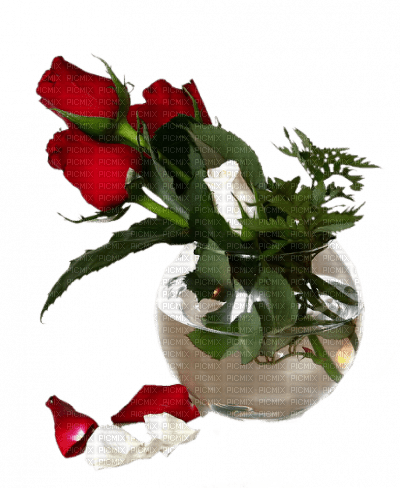 jarron con rosas - PNG gratuit