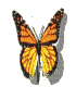 butterfly whit schlappi50 - GIF เคลื่อนไหวฟรี