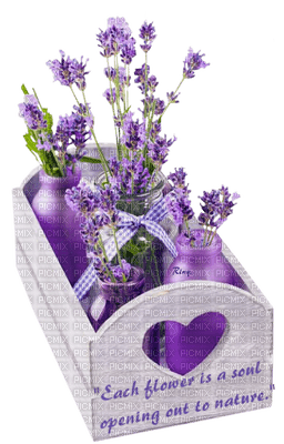 Lavender Decoration - kostenlos png