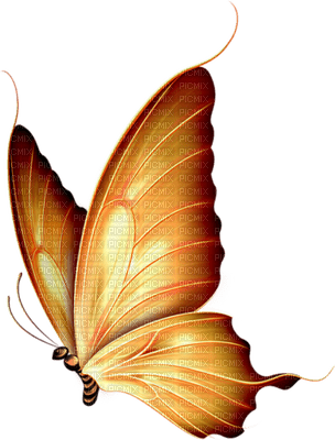 papillonGS - Free PNG