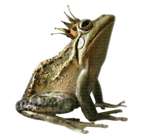 Rena Frosch Frog Froschkönig - gratis png