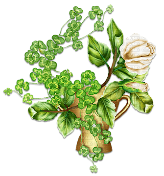 soave patrick st deco  clover flowers rose - δωρεάν png