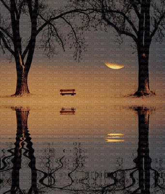 reflection-NitsaPap - Δωρεάν κινούμενο GIF