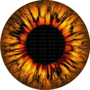 oog bruin - Ilmainen animoitu GIF