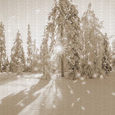 kikkapink winter snow animated background - Kostenlose animierte GIFs