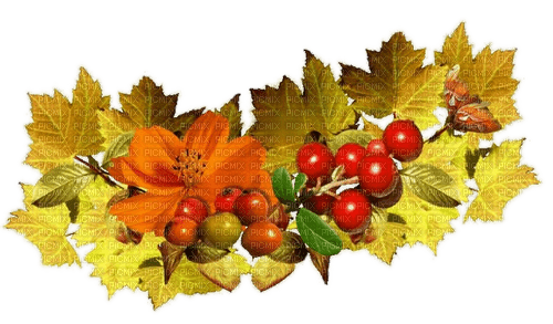 Herbstblätter, Früchte, Tomaten - бесплатно png