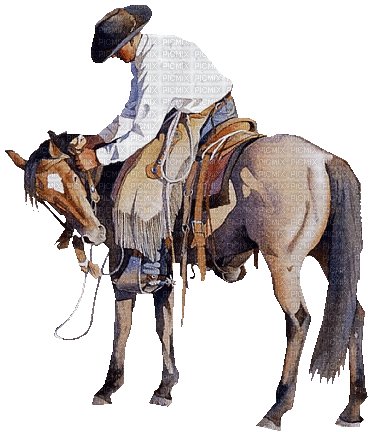 Cowboy. Horse. Leila - Ingyenes animált GIF