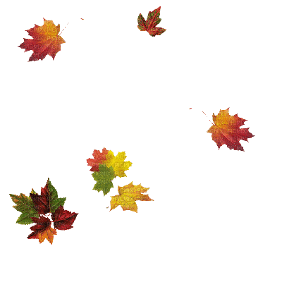 fall autumn leaf leaves feuille - Gratis animeret GIF