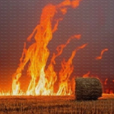 Field on Fire - nemokama png