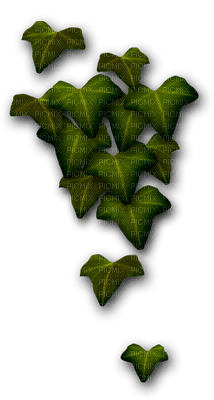minou-Leaves-löv-blad - ilmainen png
