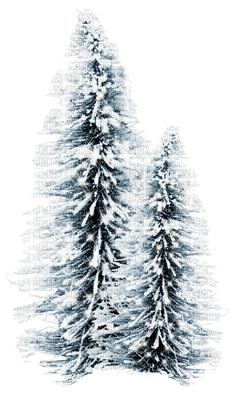 winter hiver tree fir baum snow neige forest - ücretsiz png