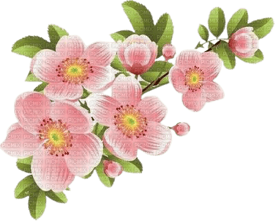 spring flowers - kostenlos png