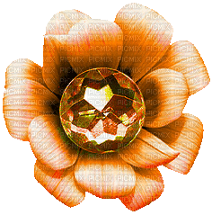 Flower.Orange.Animated - KittyKatLuv65 - Gratis geanimeerde GIF