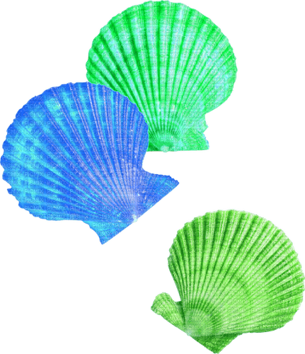 Seashells.Green.Blue - PNG gratuit