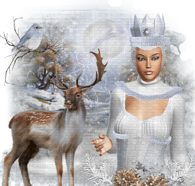 The Snow Queen7 /nitsa - PNG gratuit