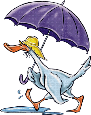 duck with umbella canard parapluie - Free PNG