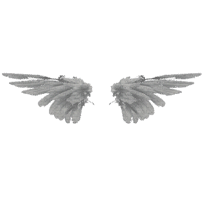 Крылья - Δωρεάν κινούμενο GIF