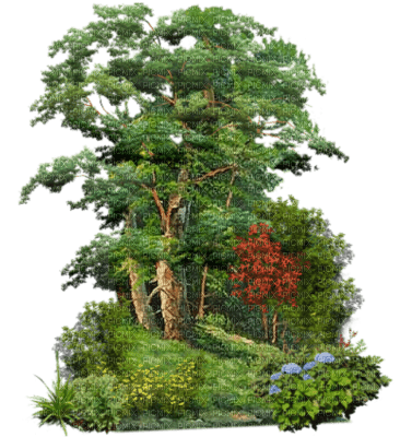 foret - Free PNG
