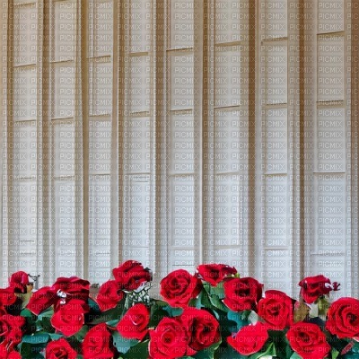 White Wall Panels with Roses - Free PNG