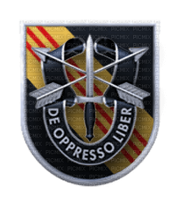 1st Special Forces Command - Airborne - PNG gratuit
